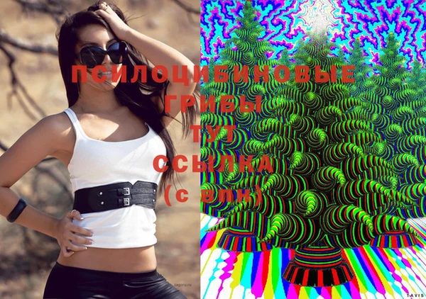 дживик Балабаново