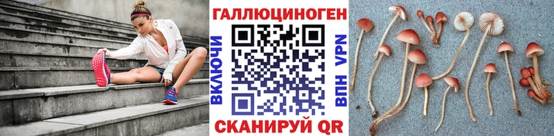 блэк спрут рабочий сайт  Ворсма  Галлюциногенные грибы MAGIC MUSHROOMS  дарнет шоп 