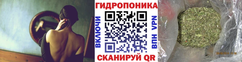 Канабис планчик  Ворсма 